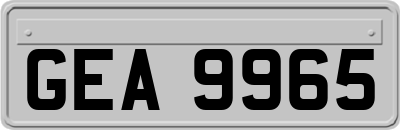 GEA9965