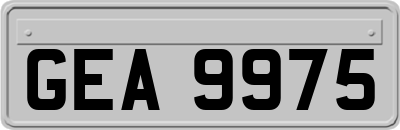 GEA9975