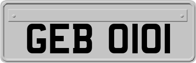 GEB0101