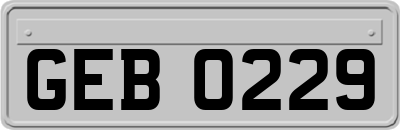 GEB0229