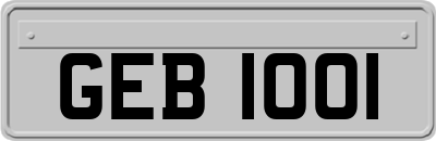 GEB1001