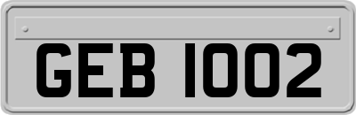 GEB1002