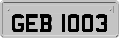 GEB1003