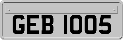 GEB1005