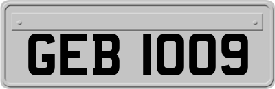 GEB1009