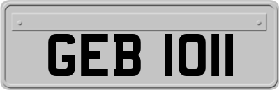 GEB1011