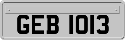 GEB1013