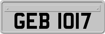 GEB1017