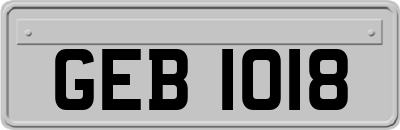 GEB1018