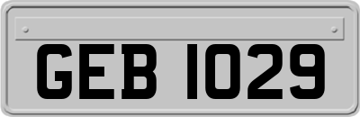 GEB1029