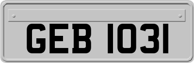 GEB1031