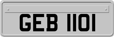 GEB1101