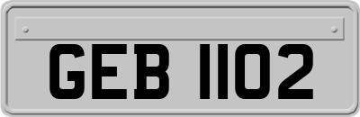 GEB1102
