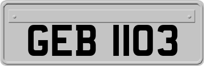 GEB1103