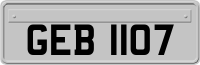 GEB1107