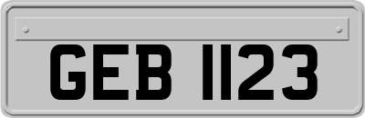 GEB1123