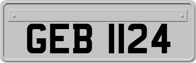 GEB1124