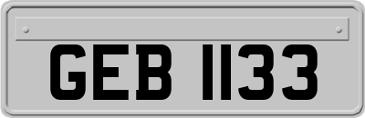 GEB1133