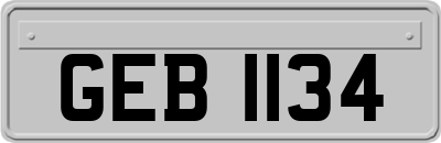 GEB1134