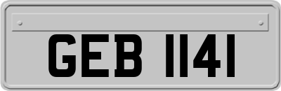 GEB1141