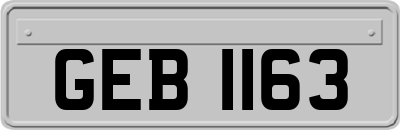 GEB1163