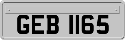GEB1165