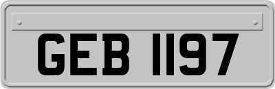 GEB1197