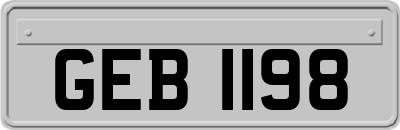 GEB1198