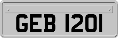GEB1201