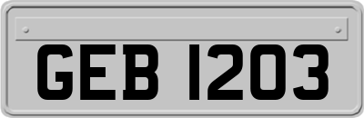 GEB1203