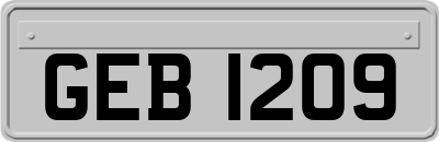 GEB1209