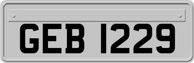 GEB1229