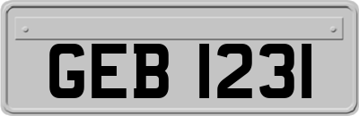 GEB1231