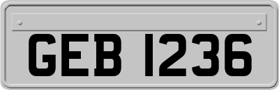 GEB1236