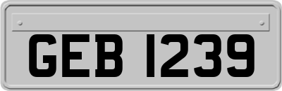 GEB1239