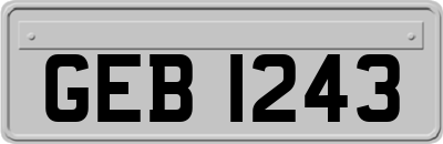 GEB1243