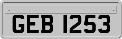 GEB1253