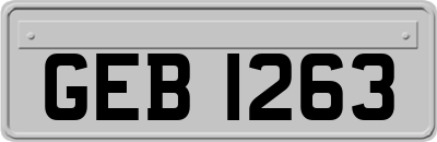 GEB1263