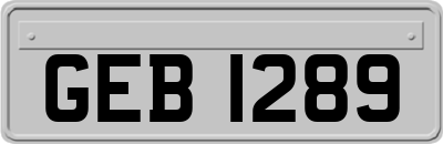 GEB1289