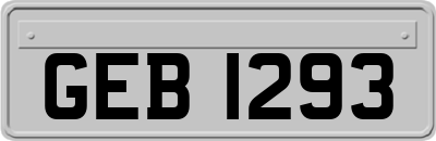 GEB1293