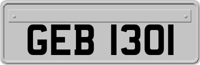 GEB1301