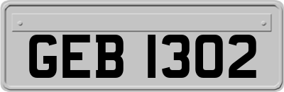GEB1302