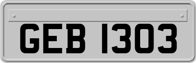 GEB1303