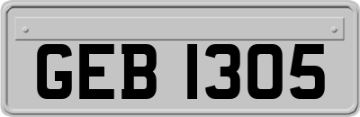 GEB1305