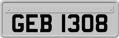 GEB1308