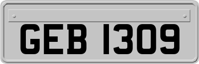 GEB1309