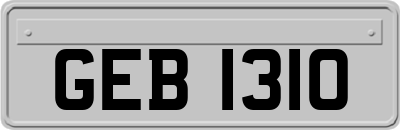 GEB1310