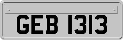 GEB1313