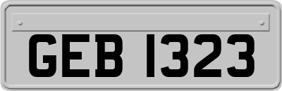 GEB1323