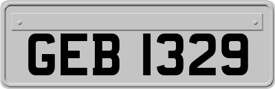 GEB1329